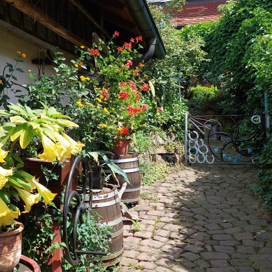 Ferienwohnung Beim Schlafwandler Karlsbad Exterior foto